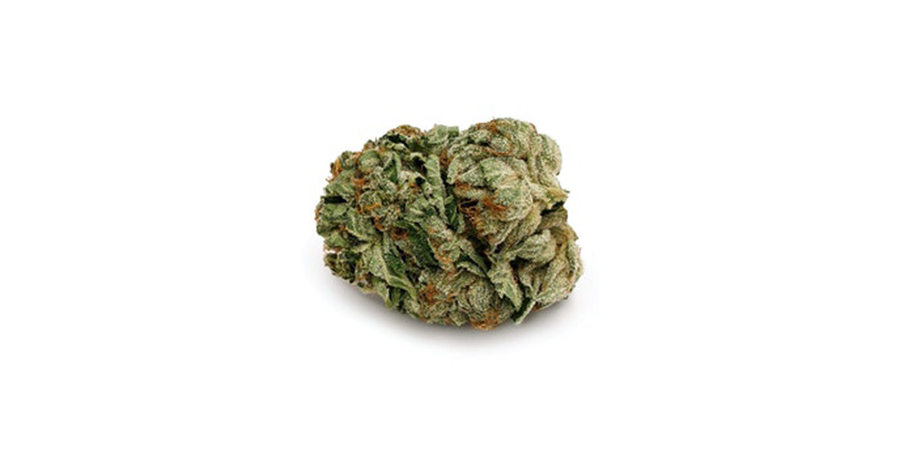 Weed Strains, Looking To Buy Cannabis Online? Here Is A List Of The Top 9 Weed Strains In Scarborough