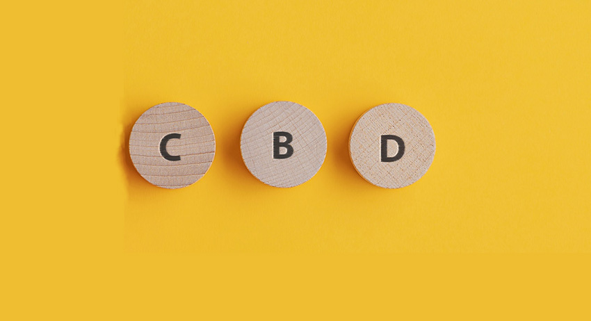 what is cbd, Looking To Add CBD to Your Regimen? This Guide Will Help