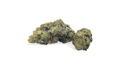 Well-known cannabis strains, Well-known cannabis strains you’ve probably heard of before